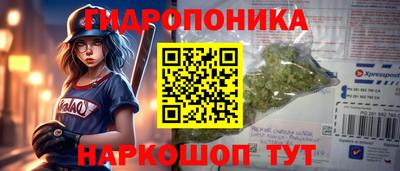 дурь Камышлов