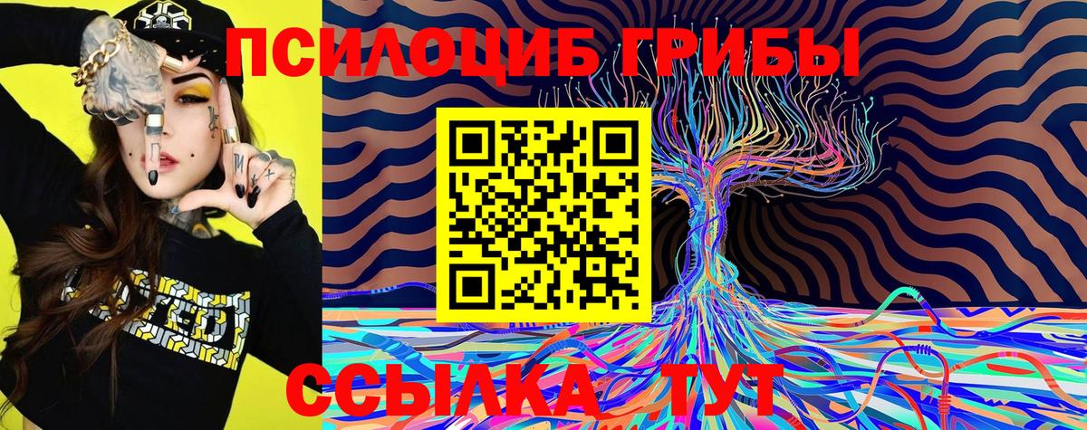 Лесозаводск  Псилоцибиновые грибы ЛСД  Вход с VPN 
