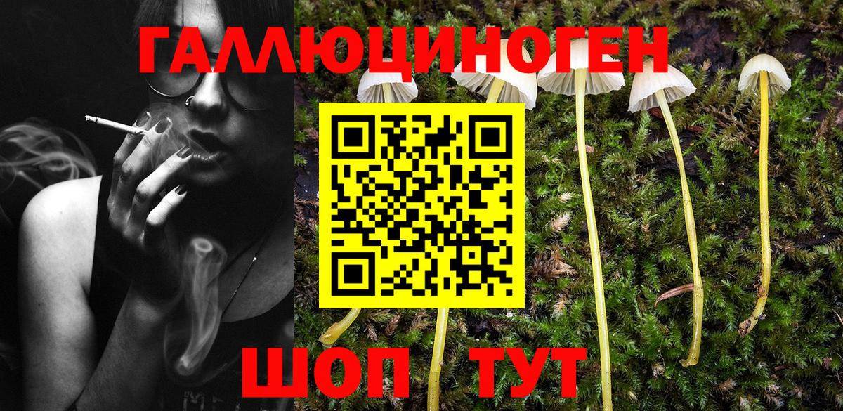 Галлюциногенные грибы мухоморы Лесозаводск